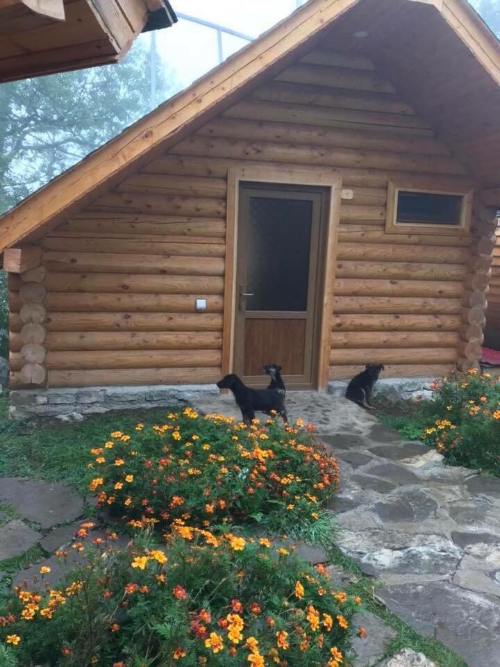 Harsnadzor Eco Resort Halidzor Extérieur photo