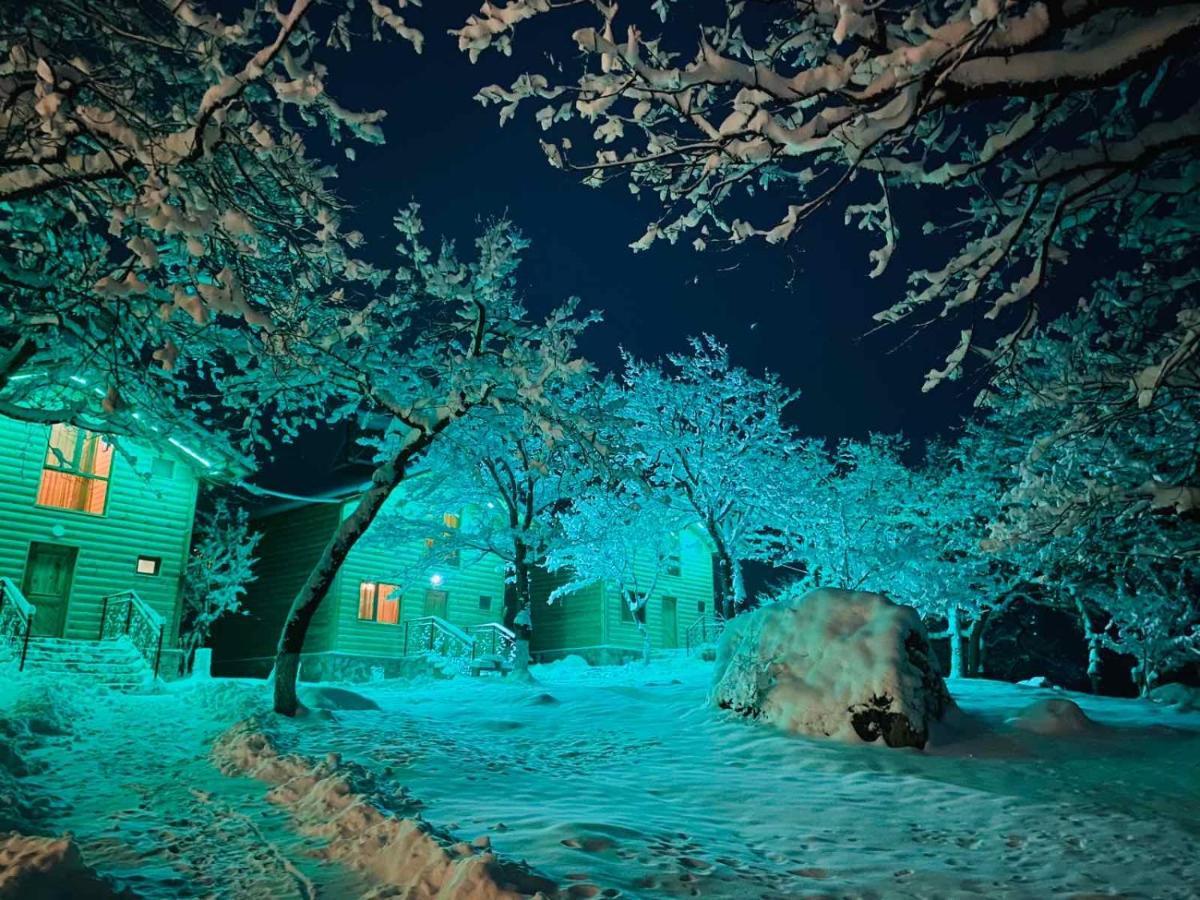 Harsnadzor Eco Resort Halidzor Extérieur photo